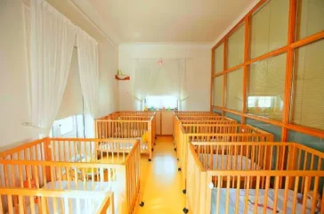 bercario (1)
